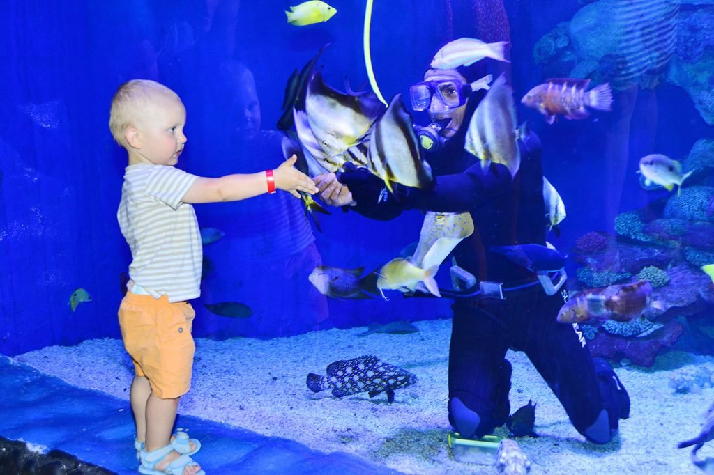 Hurghada Grand Aquarium