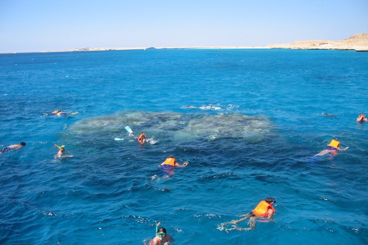 Dolphin House Snorkeling tour