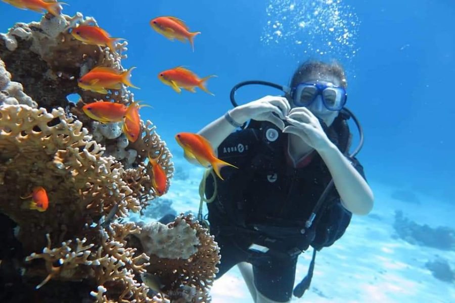 Scuba Diving Tour with lunch in Marsa Alam