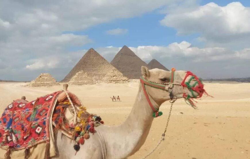 Vip Cairo Pyramids and egypation National Museum from Marsa Alam