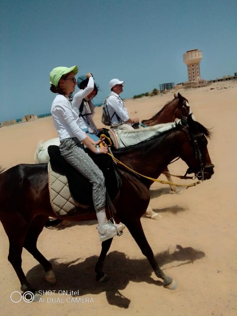 Hurghada: horseback riding adventure