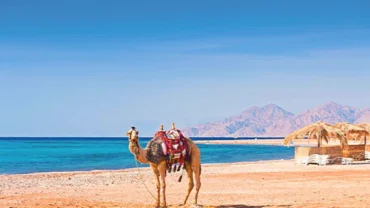Marsa Alam Attractions