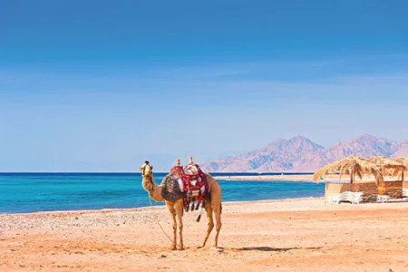 Marsa Alam Attractions